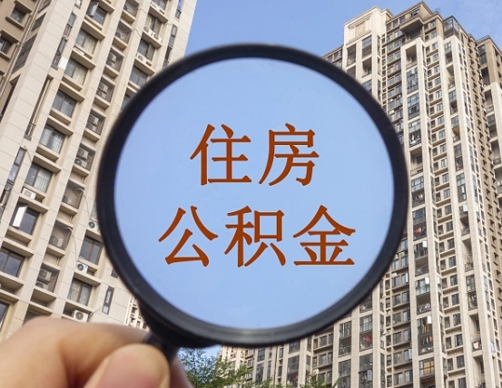 河间退休后查不到公积金明细了吗（退休后公积金查询不到原因）